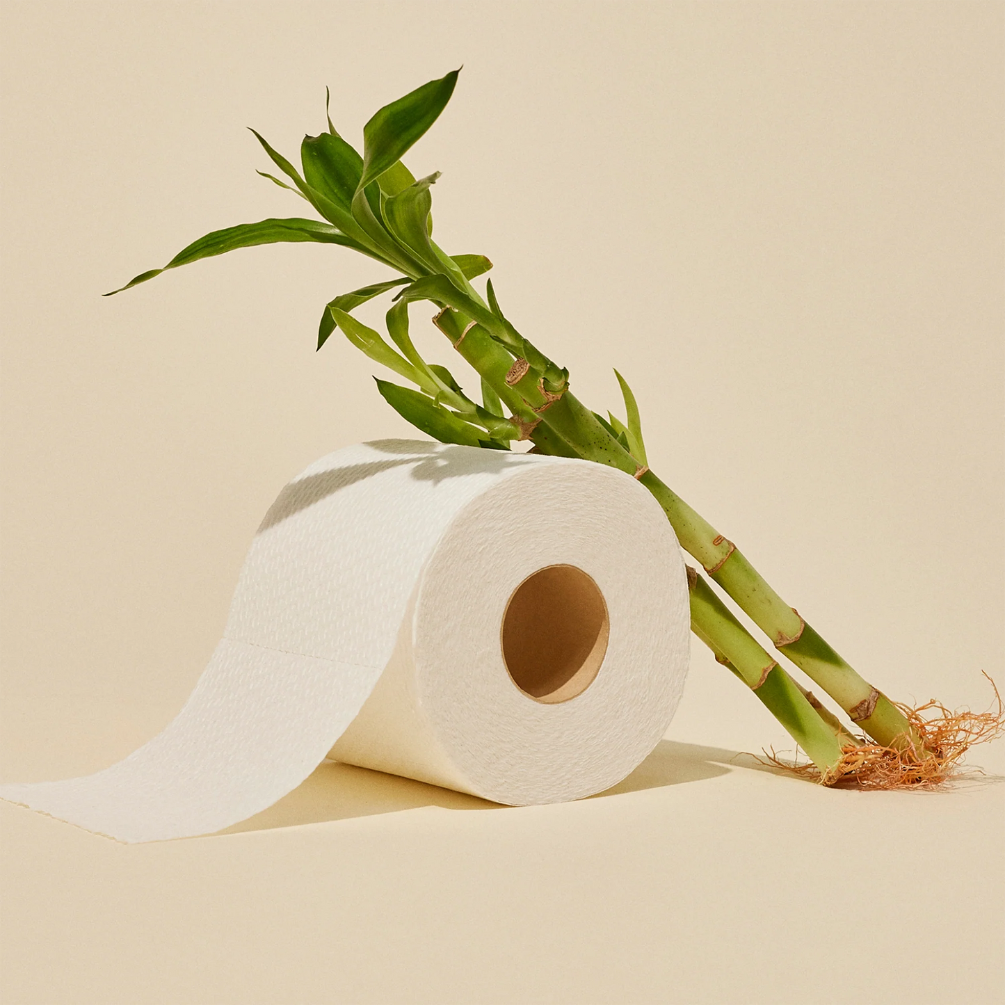 Reel Bamboo Toilet Paper (24 Count)